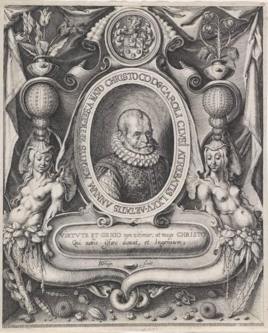 Portrait of Carolus Clusius (Charles de l'Écluse, 1526-1609)