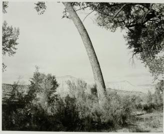 Garfield County, Colorado