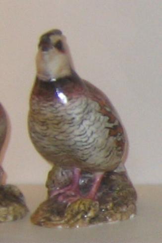 Quail