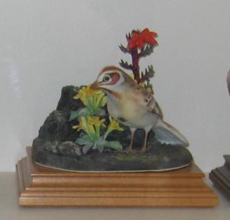 Lark Sparrow with Red Gila and Twin Pod