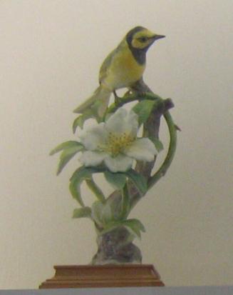 Hooded Warblers With Cherokee Rose