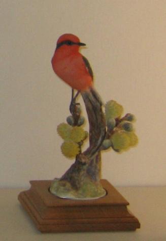 Vermilion Flycatcher with Pussy Willow