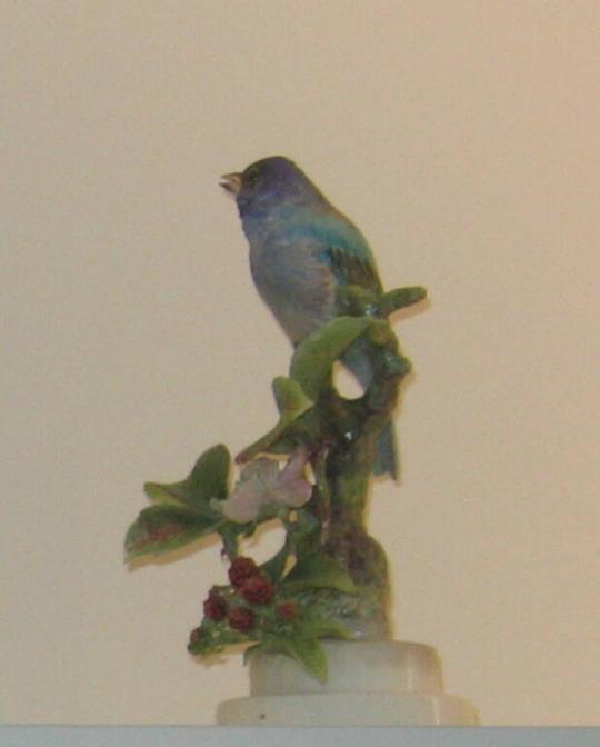 Indigo Buntings and Blackberry Sprays