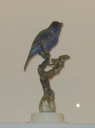 Indigo Bunting