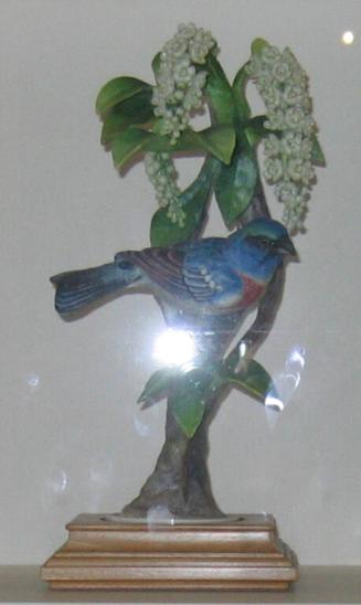 Lazuli Buntings With Choke Cherry