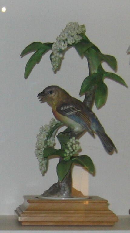 Lazuli Buntings With Choke Cherry