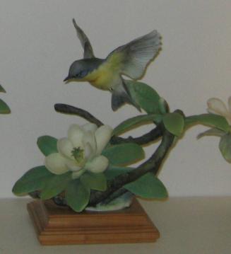 Parula Warblers