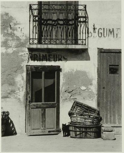 Shop, Le Bacarès