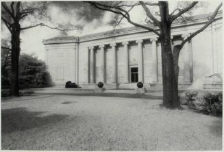 The Museum of Fine Arts, Houston