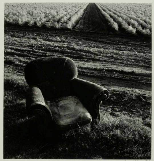 Chair and Asparagus Field