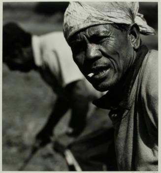 Asparagus Picker