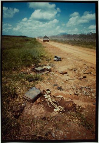 Ambush Alley, 25th Division, Recon Cavalry