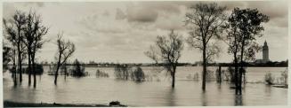 High Water, Mississippi River Flood, Baton Rouge, Louisiana