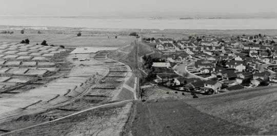 New American Suburbs: New House Platforms #1 (Split Landscape)—Pittsburg, Ca.