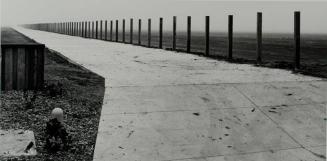 New American Suburbs: New Fence Line and Fog, Davis, Ca.