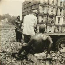 Country, celery pickers, NY State