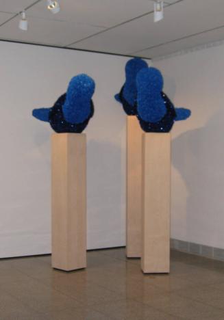 as displayed in Millennium Gallery, 2008