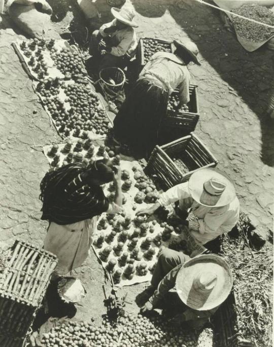 Street Market, Amanalco