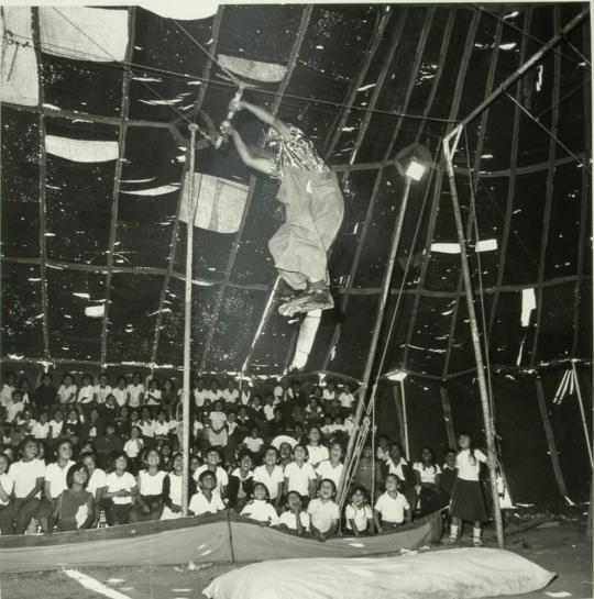 Bibis' Circus III