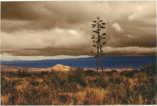 Dead Horse Mountains