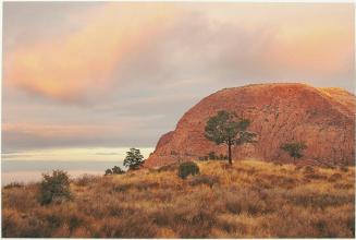 Vernon Bailey Peak