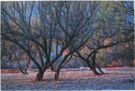 Dawn, Castolon