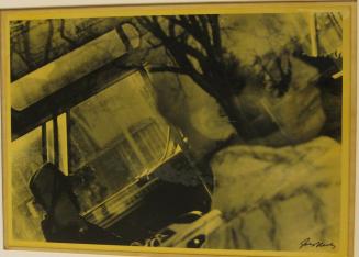 Untitled (man and woman in bus with tree reflection, DC)