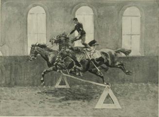 Hurdling on Three Horses