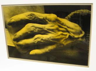 Untitled (hand with veins, DC)