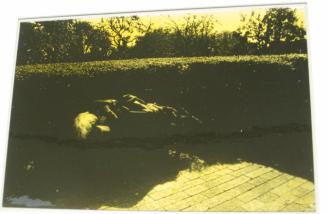 Untitled (woman with white hair lying on bench