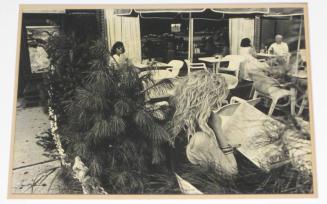 Untitled (girl with hair like plant, IL)