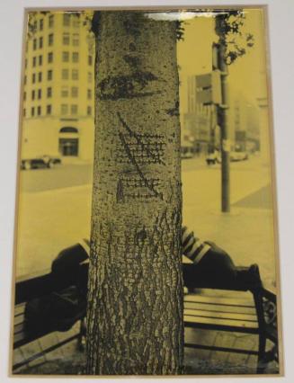 Untitled (scars on tree, man on bench, DC)