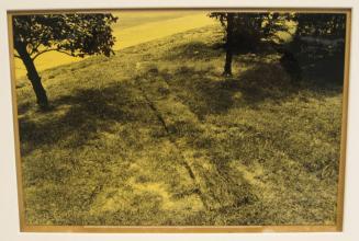 Untitled (rolled out grass turf, DC)