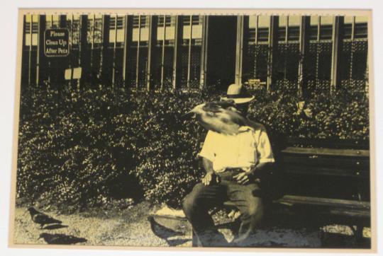 Untitled (man on bench with bird obscuring face, DC)