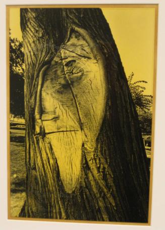 Untitled (face in tree, DC)