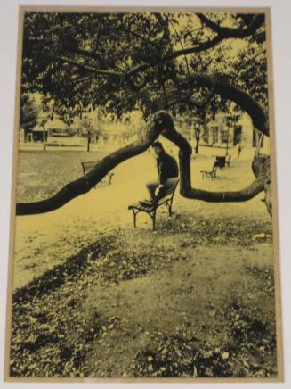 Untitled (boy on bench back framed by tree, DC)