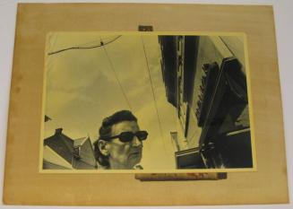 Untitled (woman with sunglasses, VA)