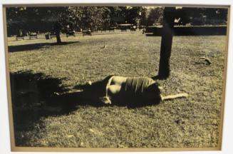 Untitled (man lying in park with squirrels, DC)