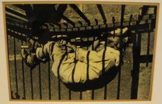 Untitled (man lying in fence shadow, DC)