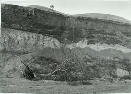 Along the Margins of the Valley