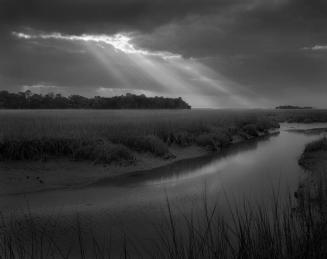 Cane Patch Creek, Ossabaw Island, Georgia