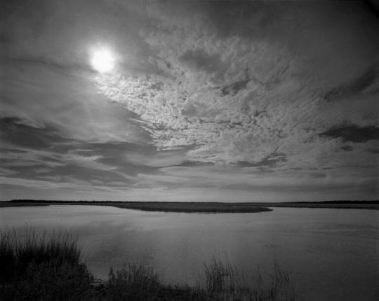 Buttermilk Sky, Ossabaw Island, Georgia