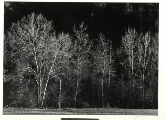 Evening Hillside, Arkansas