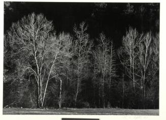 Evening Hillside, Arkansas