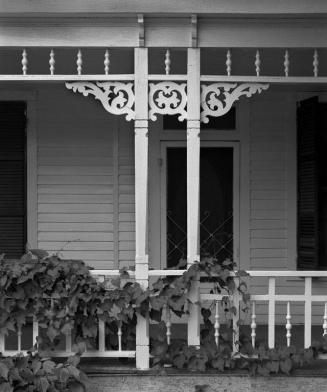 Veranda Column and Vine, Goliad, TX