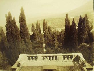 Cypress trees at Villa d'Este