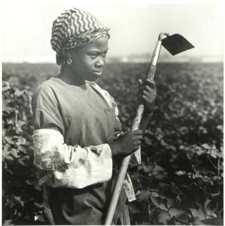 Veronica Heags, Twelve Years Old, Cotton Chopper, New Africa Road, Coahoma County, Mississippi