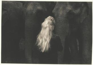 Elephant Girl, Philadelphia