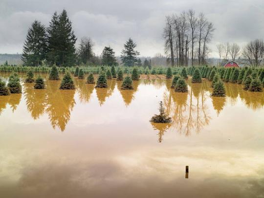 Near Rochester, Washington