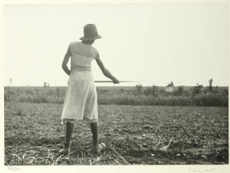 Chopping Cotton in the Field